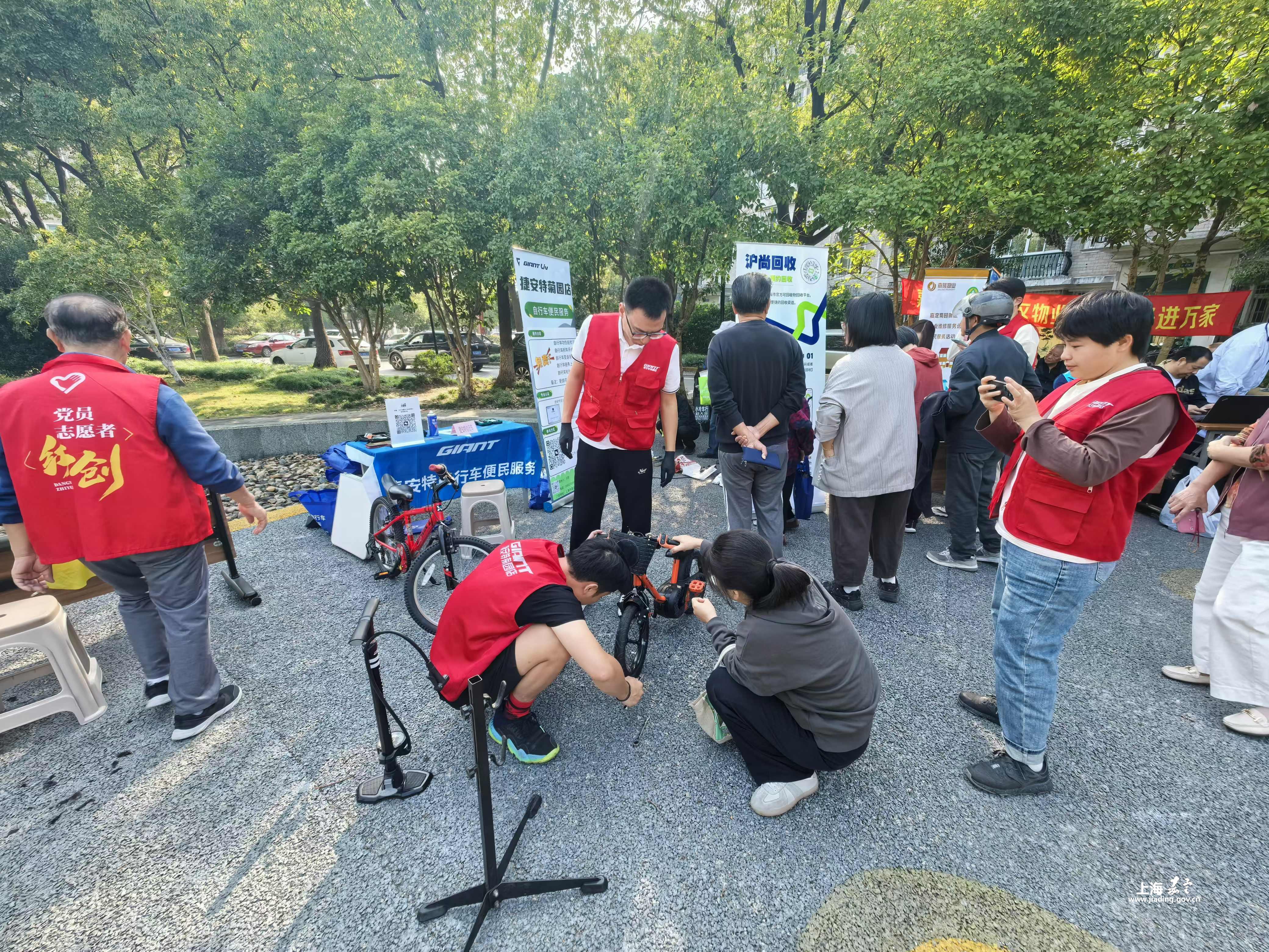 415f2441e13649cba2b3193a75ada584.jpg